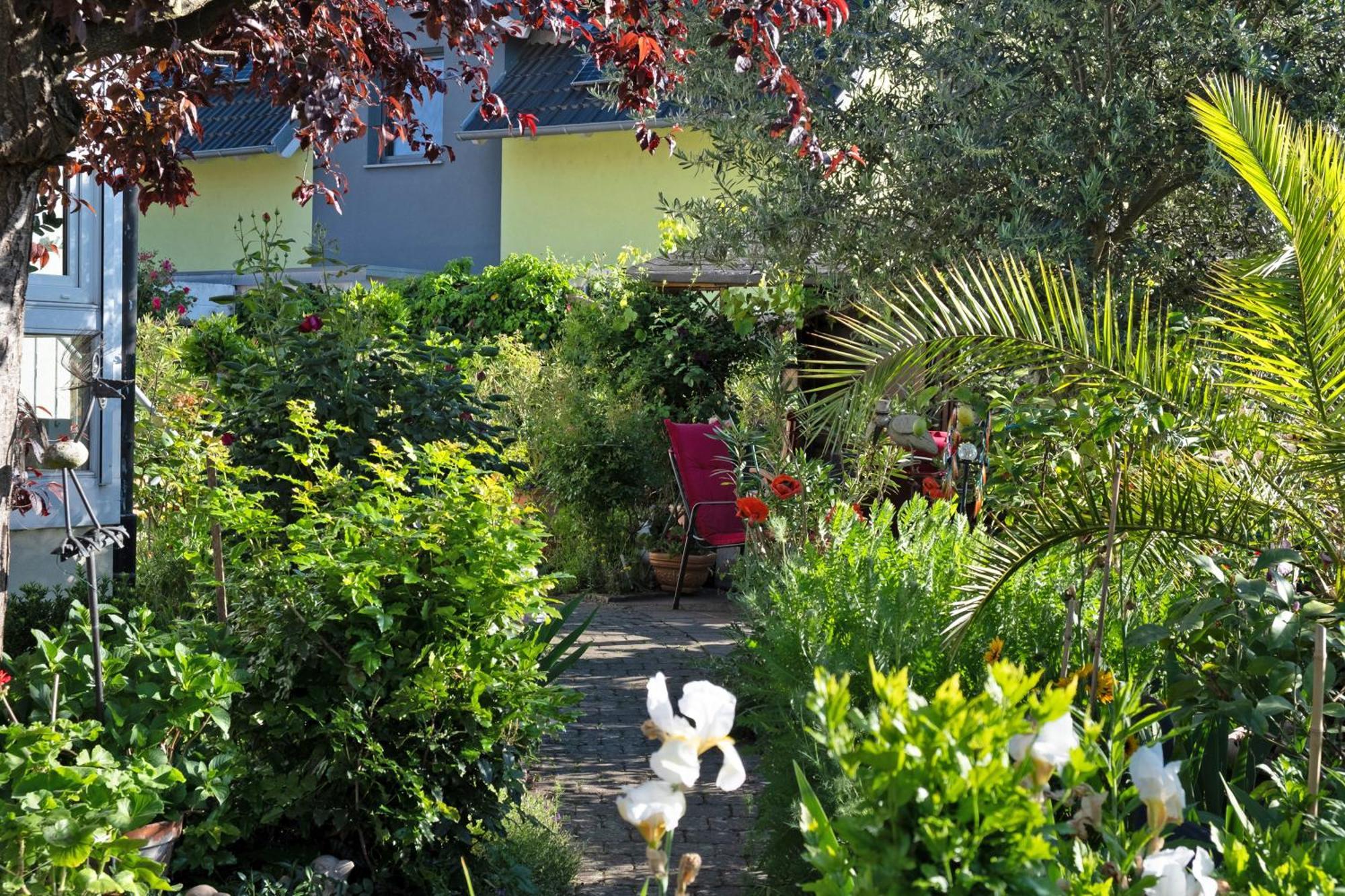 Ferienwohnung Burger Sasbach am Kaiserstuhl Exterior foto